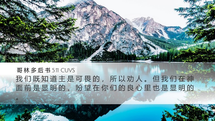 哥 林 多 后 书 5:11 CUVS Bible Verse Image