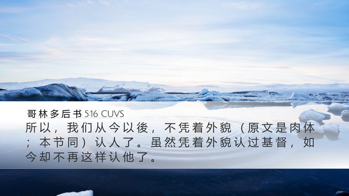 哥 林 多 后 书 5:16 CUVS Bible Verse Image
