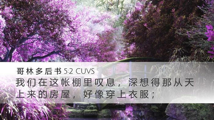 哥 林 多 后 书 5:2 CUVS Bible Verse Image