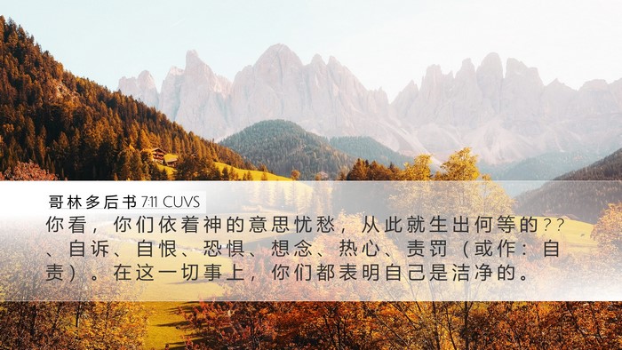 哥 林 多 后 书 7:11 CUVS Bible Verse Image