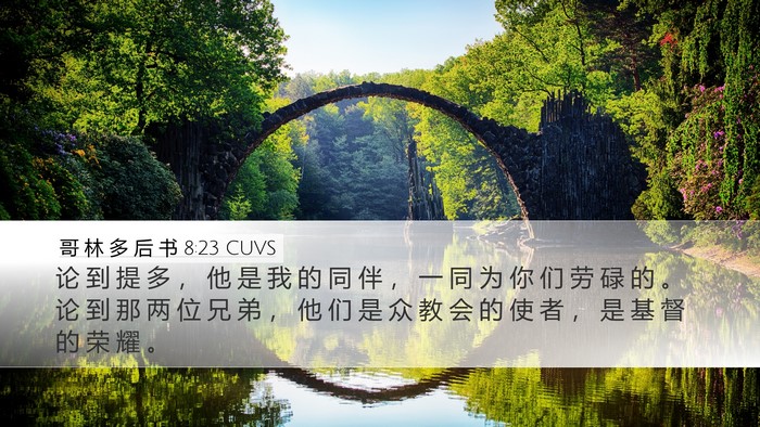 哥 林 多 后 书 8:23 CUVS Bible Verse Image