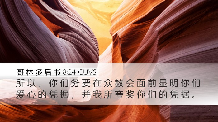 哥 林 多 后 书 8:24 CUVS Bible Verse Image