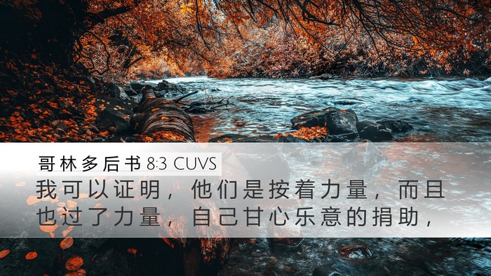 哥 林 多 后 书 8:3 CUVS Bible Verse Image