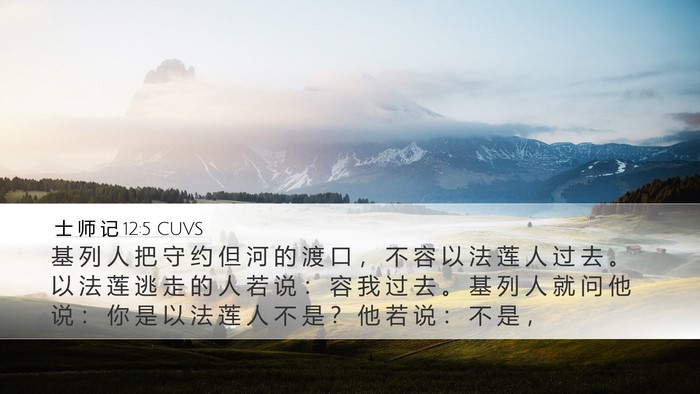 士 师 记 12:5 CUVS Bible Verse Image