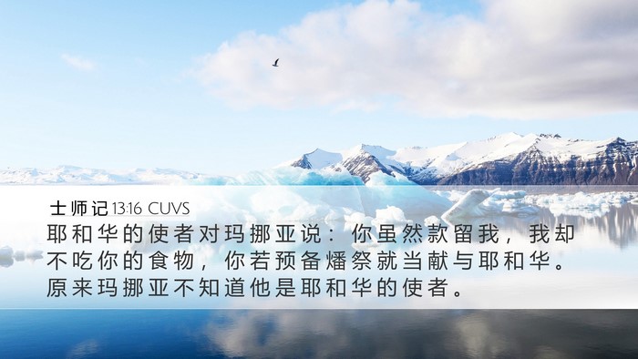 士 师 记 13:16 CUVS Desktop Wallpaper - 耶 和 华 的 使 者 对 玛 挪 亚 说 ： - Desktop Bible Verse Wallpaper