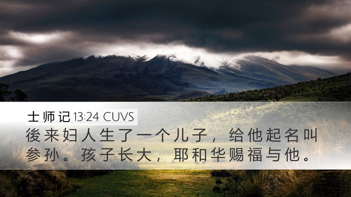 士 师 记 13:24 CUVS Bible Verse Image