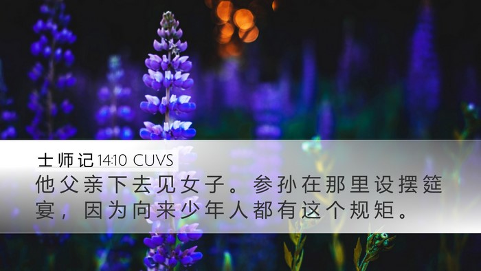 士 师 记 14:10 CUVS Bible Verse Image