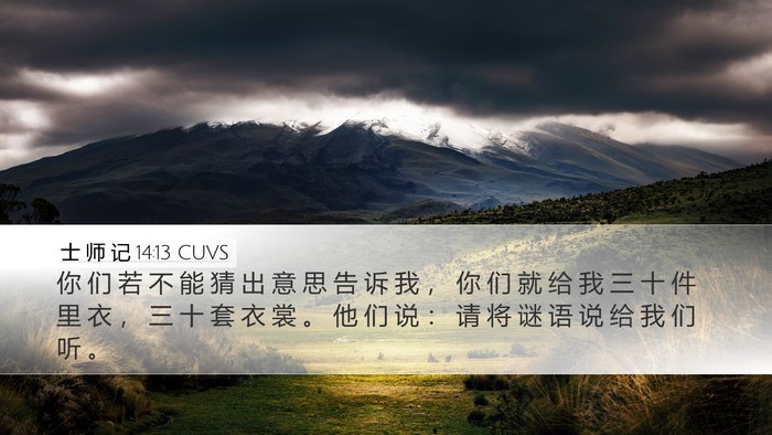 士 师 记 14:13 CUVS Desktop Wallpaper - 你 们 若 不 能 猜 出 意 思 告 诉 我 - Desktop Bible Verse Wallpaper