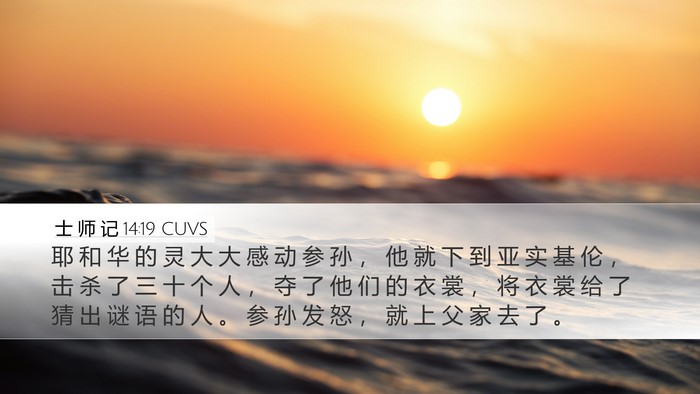 士 师 记 14:19 CUVS Bible Verse Image