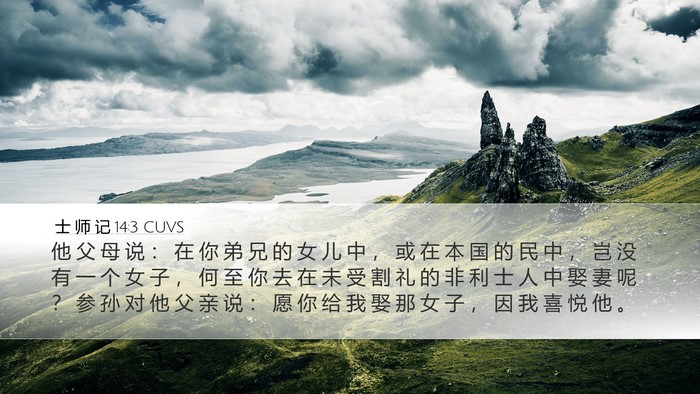 士 师 记 14:3 CUVS Bible Verse Image