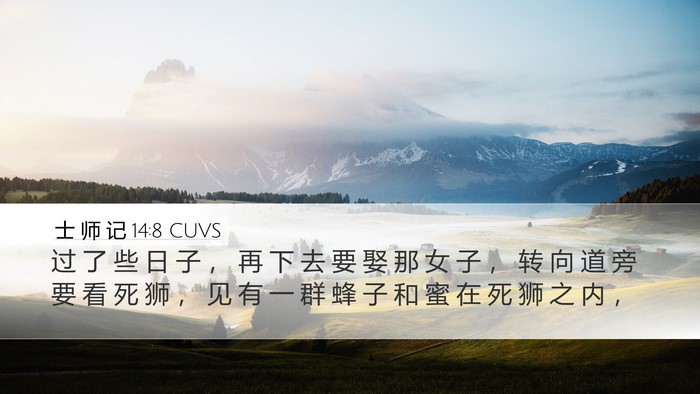 士 师 记 14:8 CUVS Desktop Wallpaper - 过 了 些 日 子 ， 再 下 去 要 娶 那 - Desktop Bible Verse Wallpaper