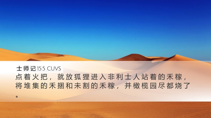 士 师 记 15:5 CUVS Desktop Wallpaper - 点 着 火 把 ， 就 放 狐 狸 进 入 非 - Desktop Bible Verse Wallpaper