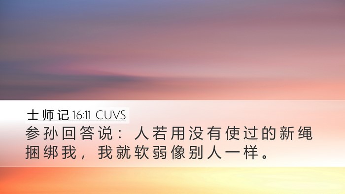 士 师 记 16:11 CUVS Desktop Wallpaper - 参 孙 回 答 说 ： 人 若 用 没 有 使 - Desktop Bible Verse Wallpaper
