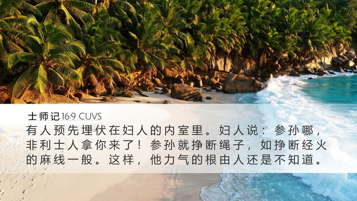 士 师 记 16:9 CUVS Desktop Wallpaper - 有 人 预 先 埋 伏 在 妇 人 的 内 室 - Desktop Bible Verse Wallpaper