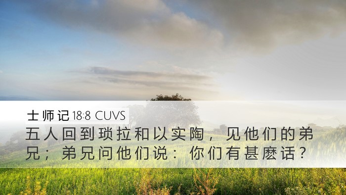 士 师 记 18:8 CUVS Bible Verse Image