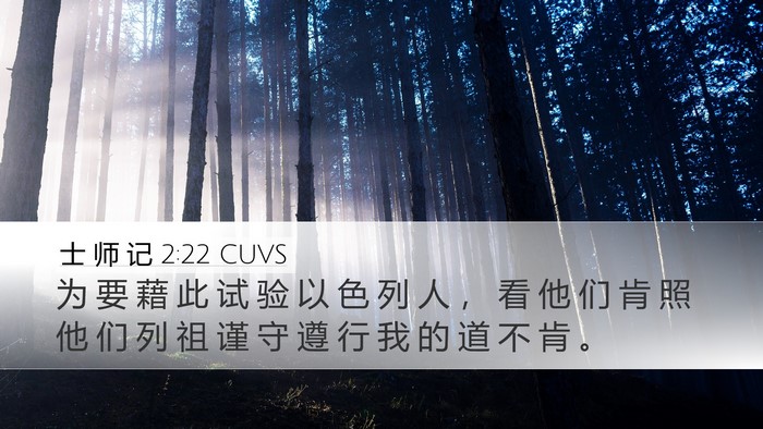 士 师 记 2:22 CUVS Bible Verse Image