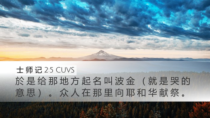 士 师 记 2:5 CUVS Bible Verse Image