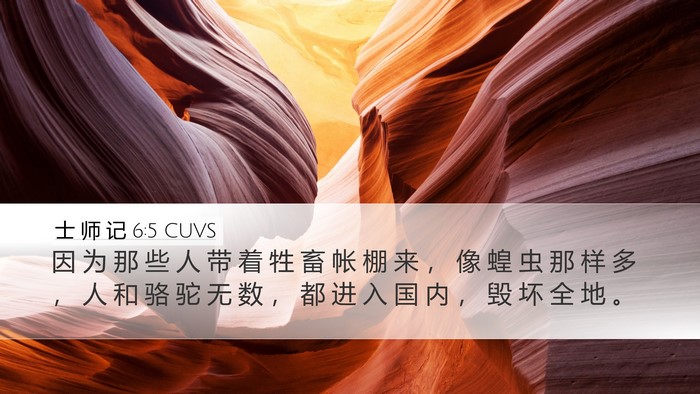 士 师 记 6:5 CUVS Bible Verse Image