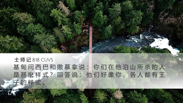 士 师 记 8:18 CUVS Bible Verse Image