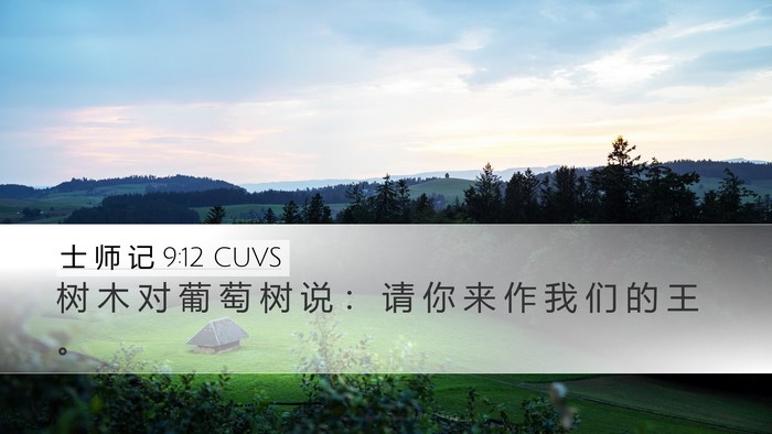 士 师 记 9:12 CUVS Desktop Wallpaper - 树 木 对 葡 萄 树 说 ： 请 你 来 作 - Desktop Bible Verse Wallpaper
