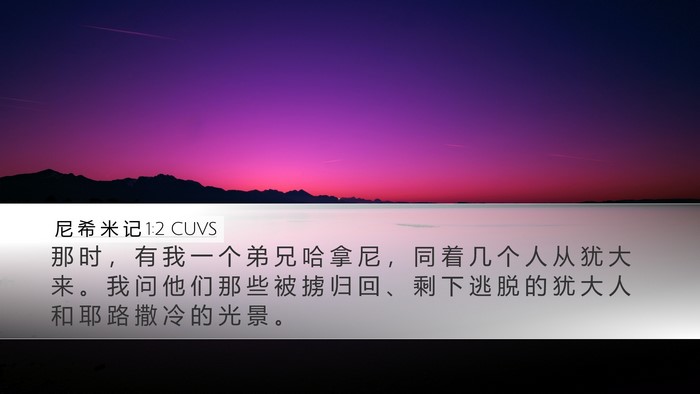 尼 希 米 记 1:2 CUVS Bible Verse Image
