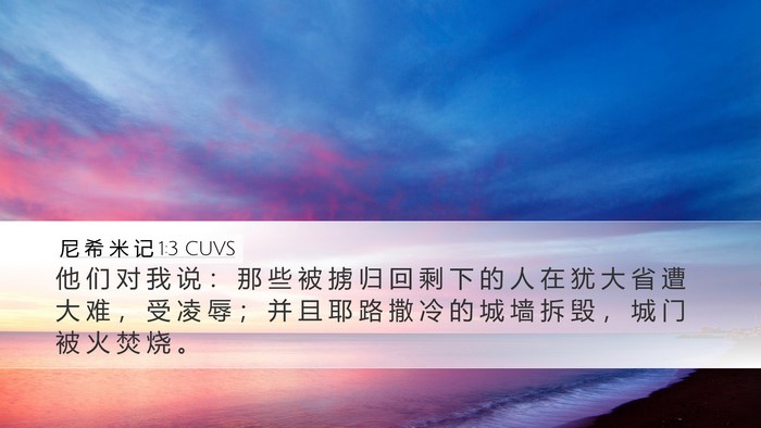 尼 希 米 记 1:3 CUVS Bible Verse Image