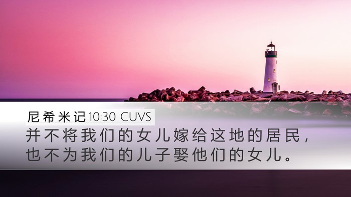 尼 希 米 记 10:30 CUVS Desktop Wallpaper - 并 不 将 我 们 的 女 儿 嫁 给 这 地 - Desktop Bible Verse Wallpaper