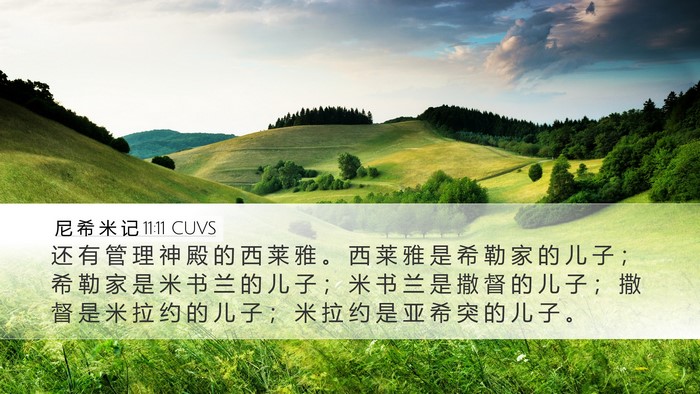 尼 希 米 记 11:11 CUVS Bible Verse Image