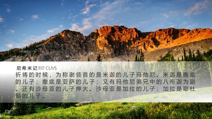 尼 希 米 记 11:17 CUVS Desktop Wallpaper - 祈 祷 的 时 候 ， 为 称 谢 领 首 的 - Desktop Bible Verse Wallpaper