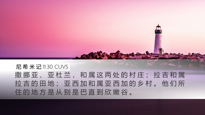 尼 希 米 记 11:30 CUVS Bible Verse Image