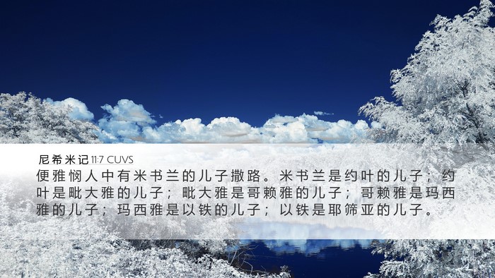 尼 希 米 记 11:7 CUVS Bible Verse Image