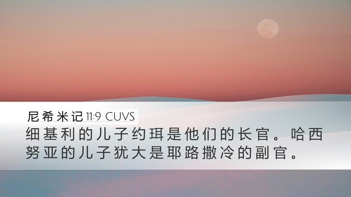 尼 希 米 记 11:9 CUVS Desktop Wallpaper - 细 基 利 的 儿 子 约 珥 是 他 们 的 - Desktop Bible Verse Wallpaper