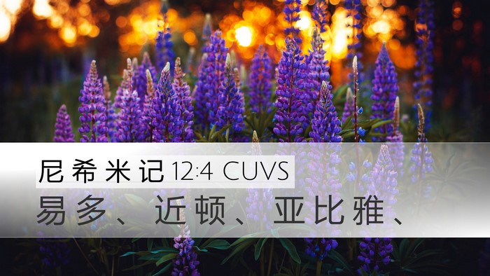 尼 希 米 记 12:4 CUVS Bible Verse Image