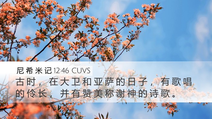 尼 希 米 记 12:46 CUVS Desktop Wallpaper - 古 时 ， 在 大 卫 和 亚 萨 的 日 子 - Desktop Bible Verse Wallpaper