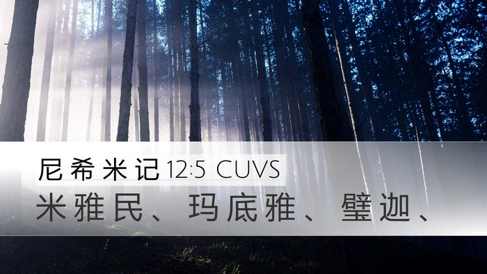 尼 希 米 记 12:5 CUVS Bible Verse Image