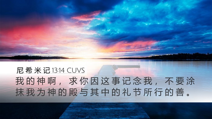 尼 希 米 记 13:14 CUVS Bible Verse Image