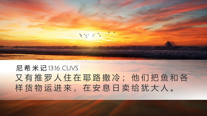尼 希 米 记 13:16 CUVS Desktop Wallpaper - 又 有 推 罗 人 住 在 耶 路 撒 冷 ； - Desktop Bible Verse Wallpaper