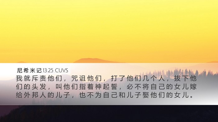 尼 希 米 记 13:25 CUVS Bible Verse Image
