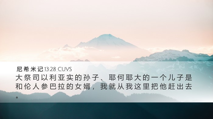 尼 希 米 记 13:28 CUVS Bible Verse Image