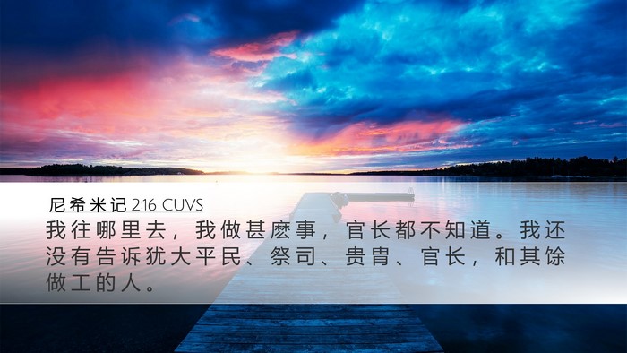 尼 希 米 记 2:16 CUVS Desktop Wallpaper - 我 往 哪 里 去 ， 我 做 甚 麽 事 ， - Desktop Bible Verse Wallpaper