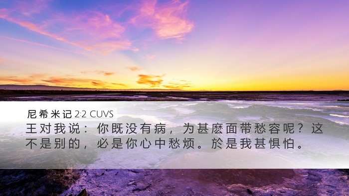 尼 希 米 记 2:2 CUVS Bible Verse Image