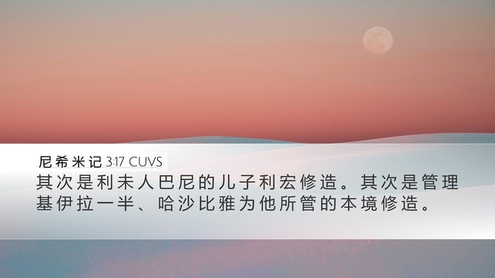 尼 希 米 记 3:17 CUVS Bible Verse Image