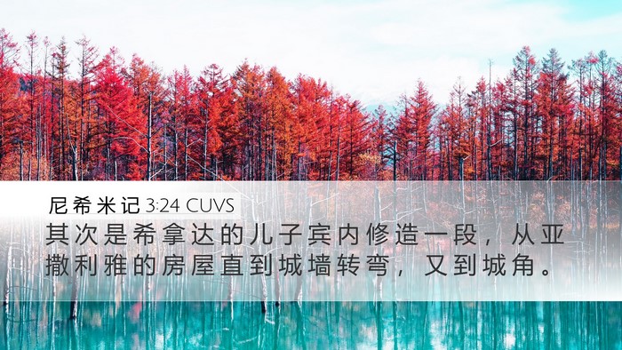 尼 希 米 记 3:24 CUVS Desktop Wallpaper - 其 次 是 希 拿 达 的 儿 子 宾 内 修 - Desktop Bible Verse Wallpaper
