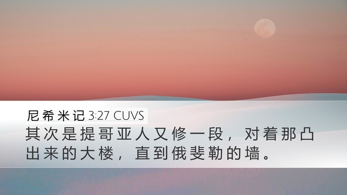 尼 希 米 记 3:27 CUVS Bible Verse Image