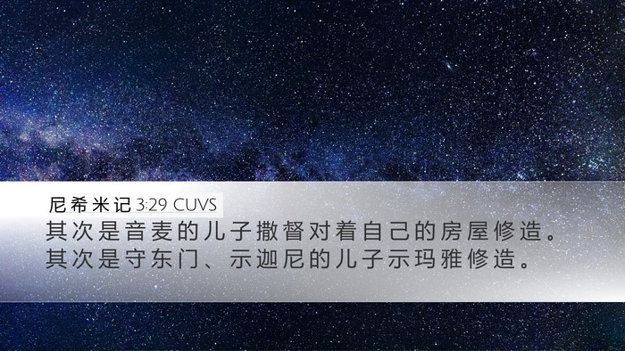 尼 希 米 记 3:29 CUVS Bible Verse Image