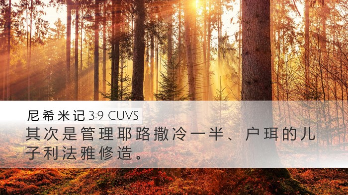 尼 希 米 记 3:9 CUVS Desktop Wallpaper - 其 次 是 管 理 耶 路 撒 冷 一 半 、 - Desktop Bible Verse Wallpaper