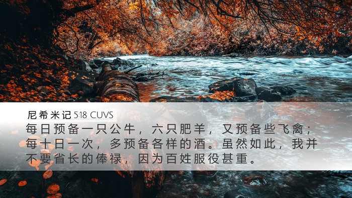 尼 希 米 记 5:18 CUVS Desktop Wallpaper - 每 日 预 备 一 只 公 牛 ， 六 只 肥 - Desktop Bible Verse Wallpaper