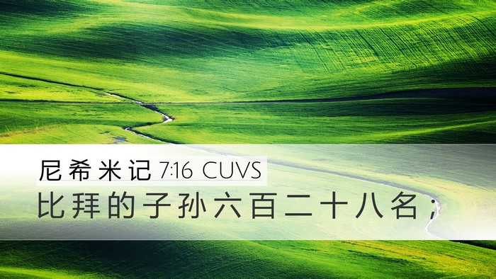 尼 希 米 记 7:16 CUVS Desktop Wallpaper - 比 拜 的 子 孙 六 百 二 十 八 名 - Desktop Bible Verse Wallpaper