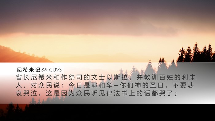 尼 希 米 记 8:9 CUVS Bible Verse Image