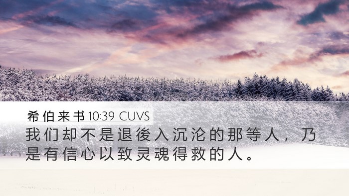 希 伯 来 书 10:39 CUVS Bible Verse Image
